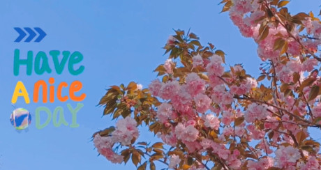 团建活动丨“兔”破心境，大步向未来！