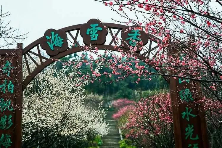 走,徒步去~(图8)