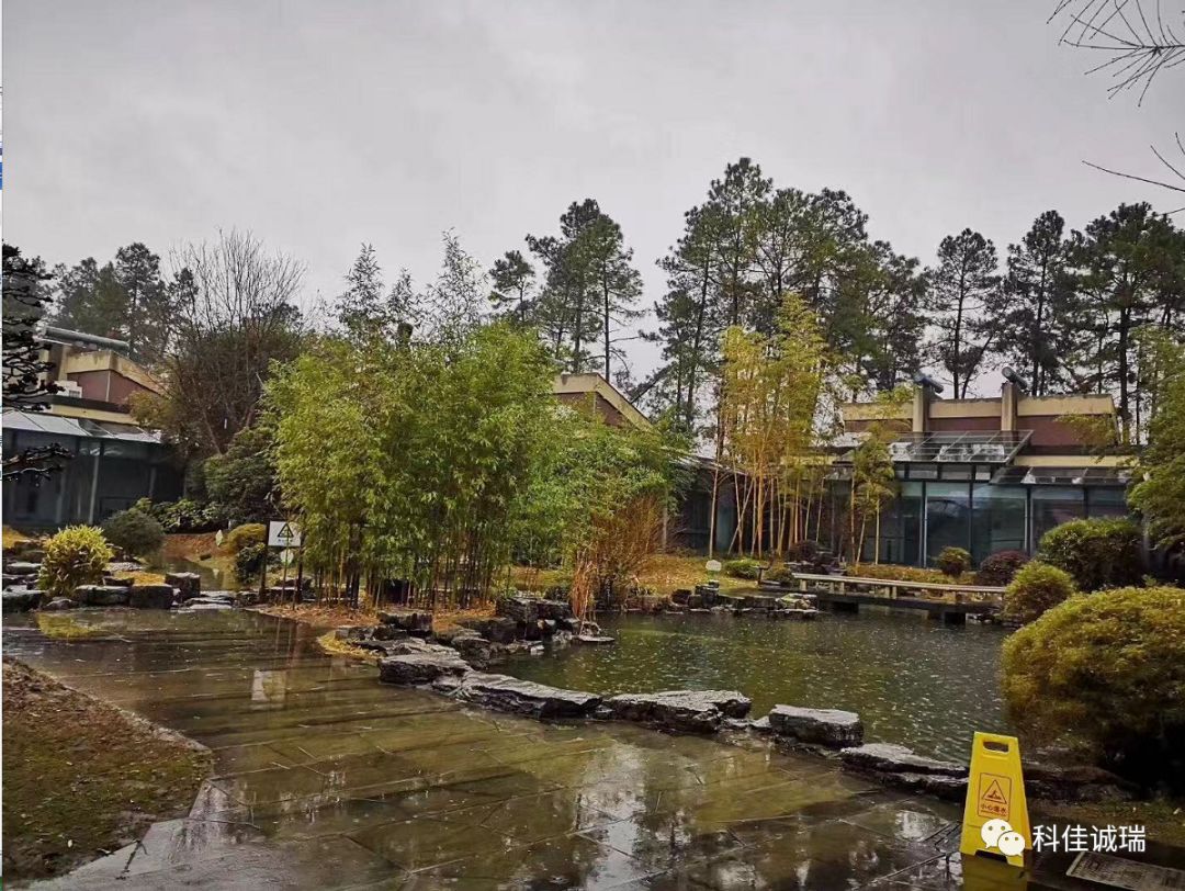 2020年【科佳诚瑞】安吉之行----实现百年幸福企业之愿景(图10)