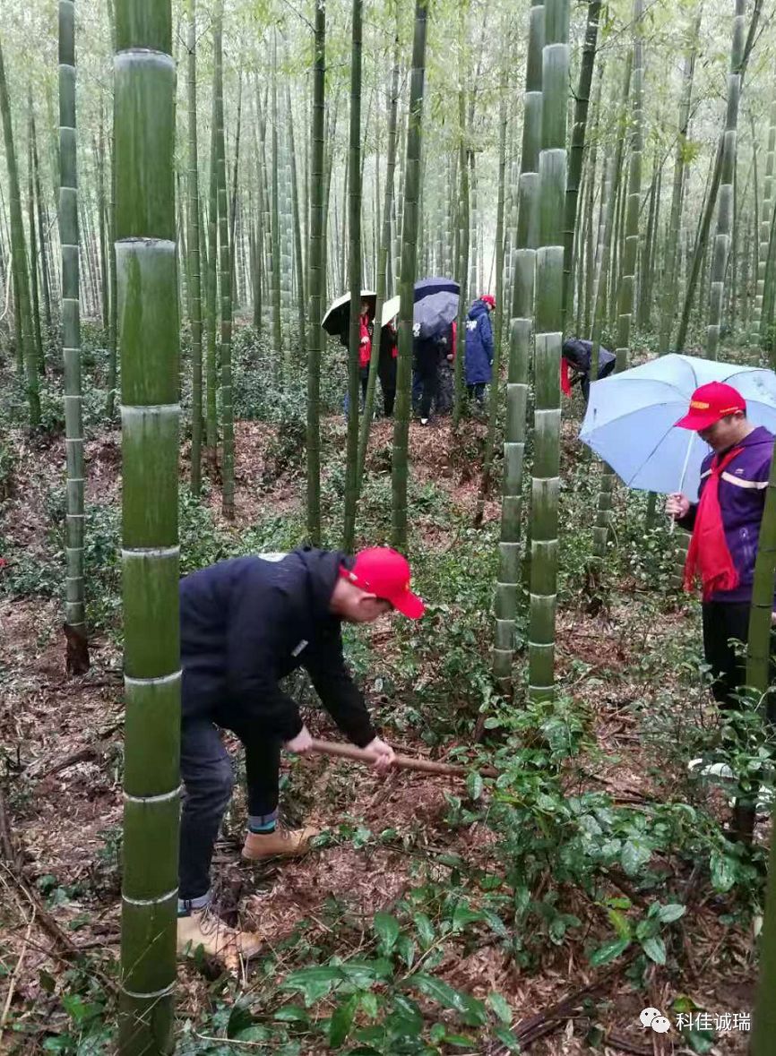 2020年【科佳诚瑞】安吉之行----实现百年幸福企业之愿景(图12)