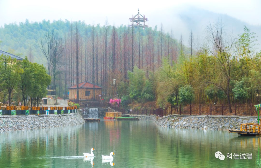 2020年【科佳诚瑞】安吉之行----实现百年幸福企业之愿景(图11)
