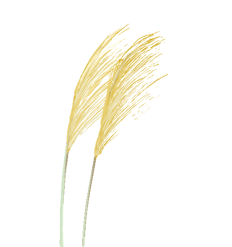 热烈欢迎各设计院专家团莅临我司参观交流(图2)