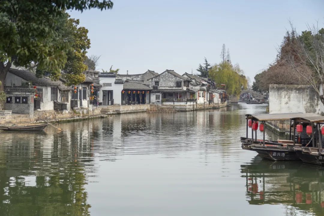 科佳年度旅行丨邂逅暖冬,解锁欢乐密码(图57)