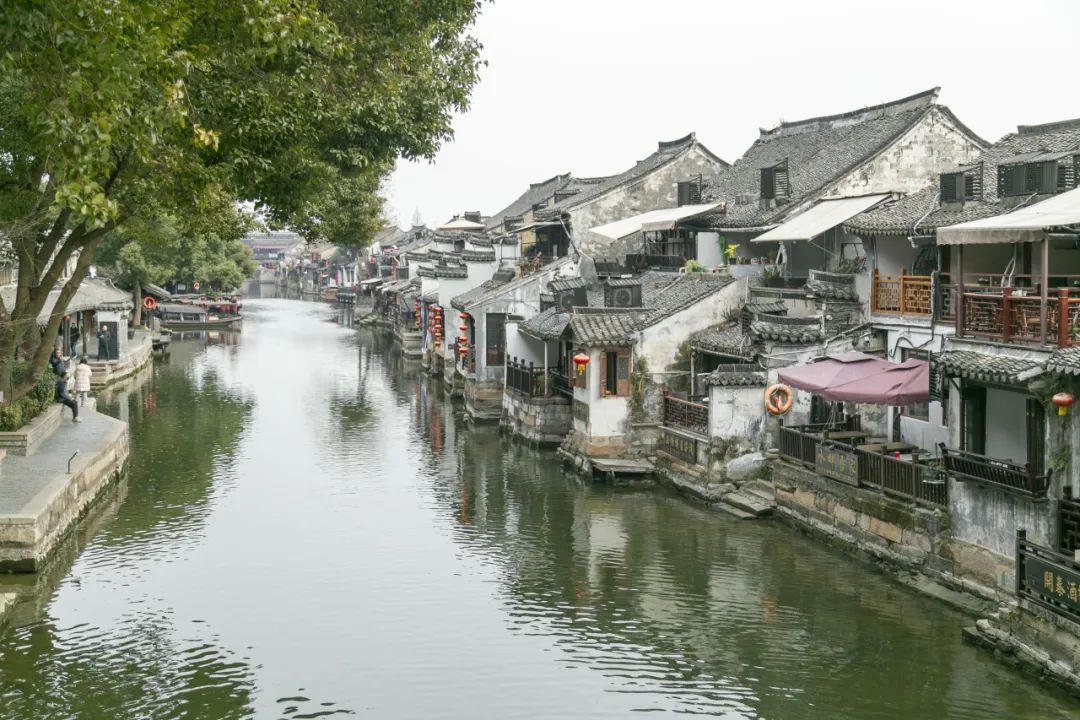 科佳年度旅行丨邂逅暖冬,解锁欢乐密码(图59)